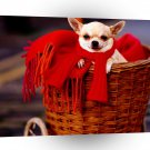 Dog Gone Shopping A1 Xlarge Canvas