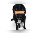 Dog Good Things Come A1 Xlarge Canvas