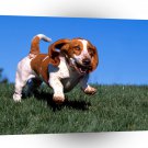 Dog High Life Basset Hound A1 Xlarge Canvas