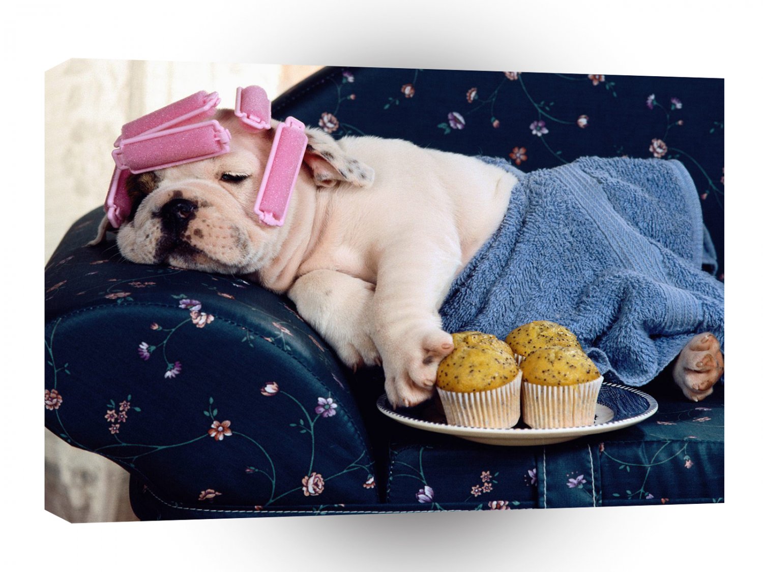 Dog Lazy Bones A1 Xlarge Canvas