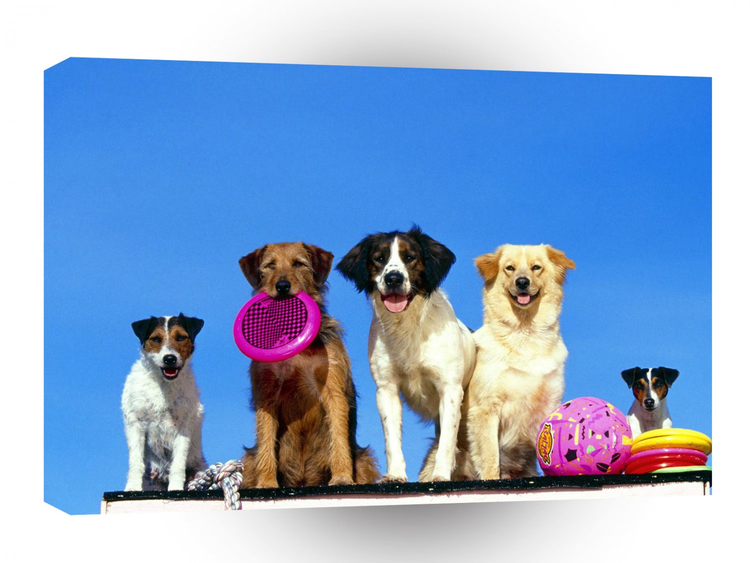 Dog Lets Go A1 Xlarge Canvas
