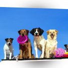 Dog Lets Go A1 Xlarge Canvas