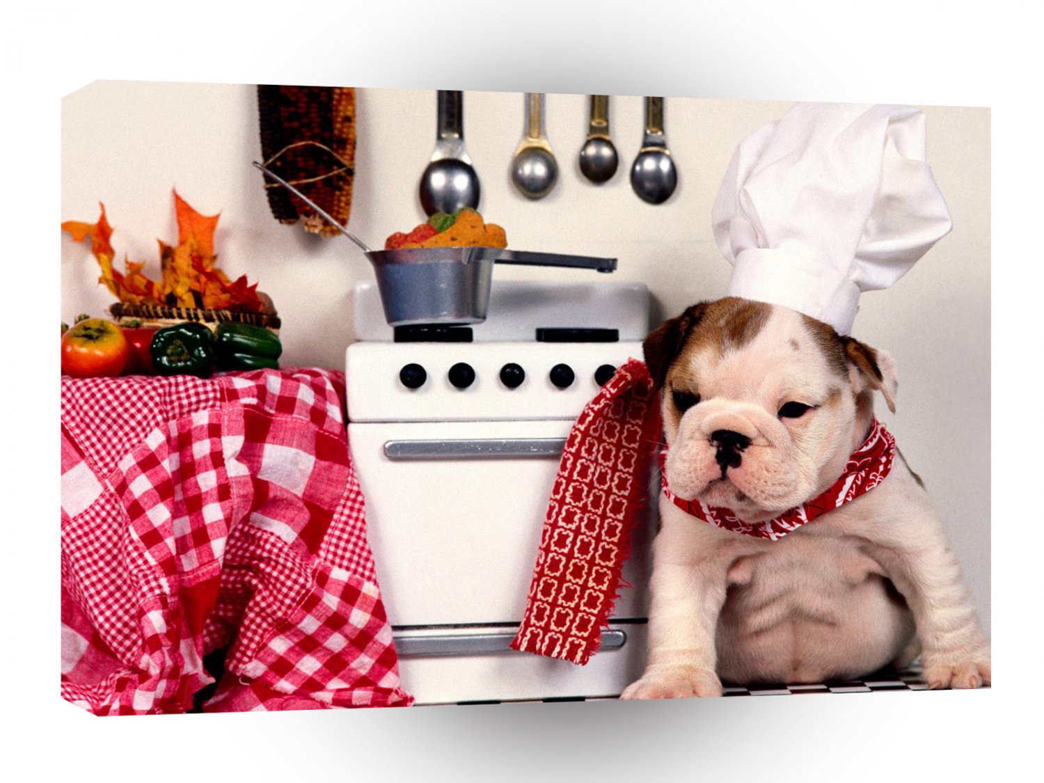 Dog Master Chef A1 Xlarge Canvas