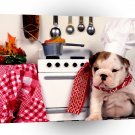 Dog Master Chef A1 Xlarge Canvas