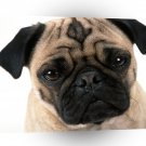 Dog Pug Mug A1 Xlarge Canvas