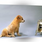 Dog Puppy Vanity Australian Cattle A1 Xlarge Canvas