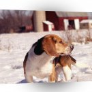 Dog Rabbit Season In Michigan A1 Xlarge Canvas