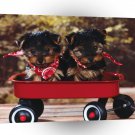 Dog Radio Flyers A1 Xlarge Canvas