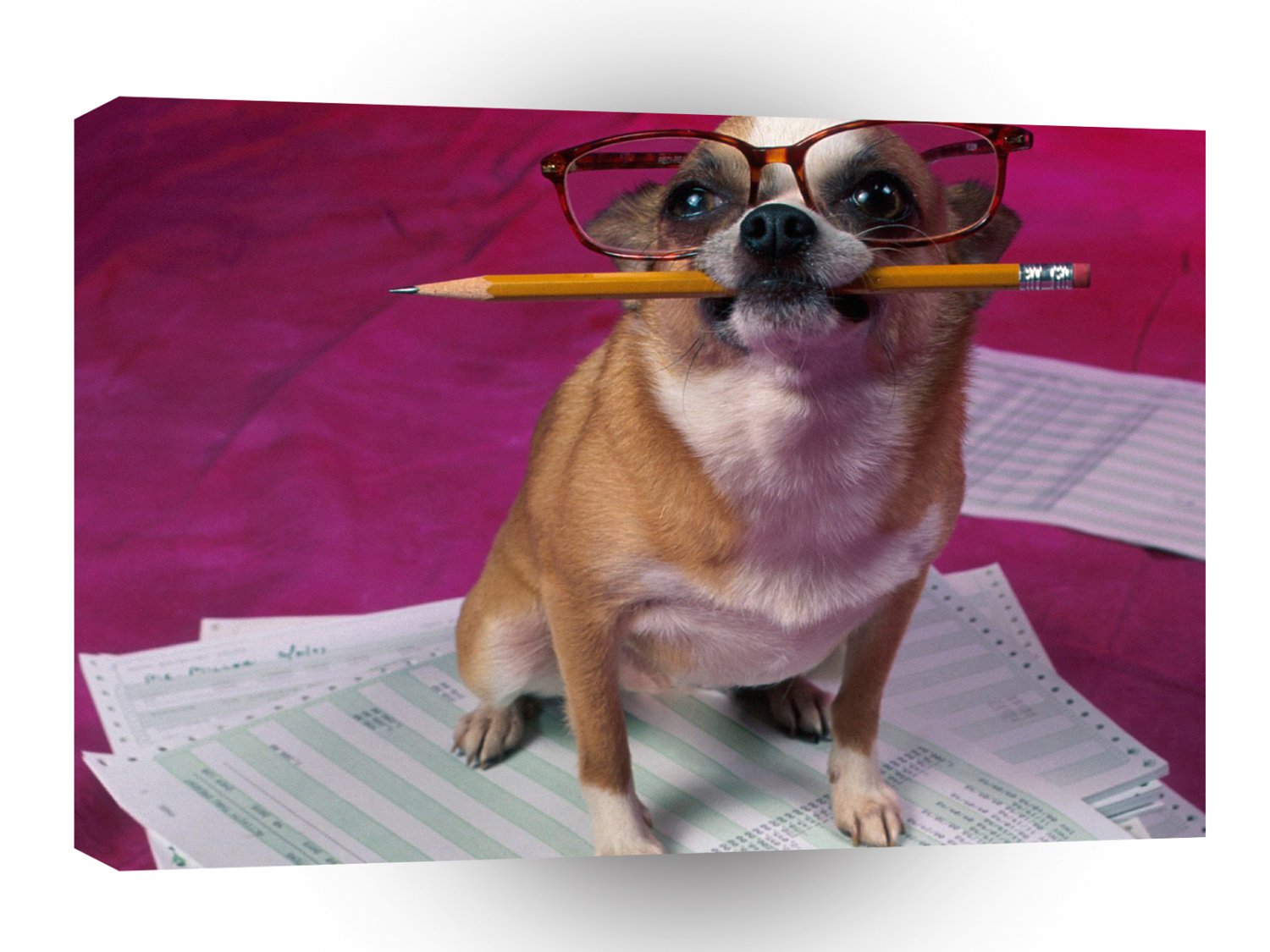 Dog Small Homework A1 Xlarge Canvas
