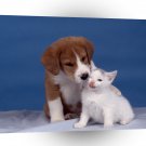 Dog Small Puppy Love A1 Xlarge Canvas