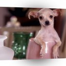 Dog Small Shaken Not Stirred A1 Xlarge Canvas