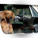 Dog Smile Canine Camera A1 Xlarge Canvas