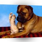 Dog Tall Tale A1 Xlarge Canvas