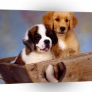 Dog Two St Bernard Retriever A1 Xlarge Canvas