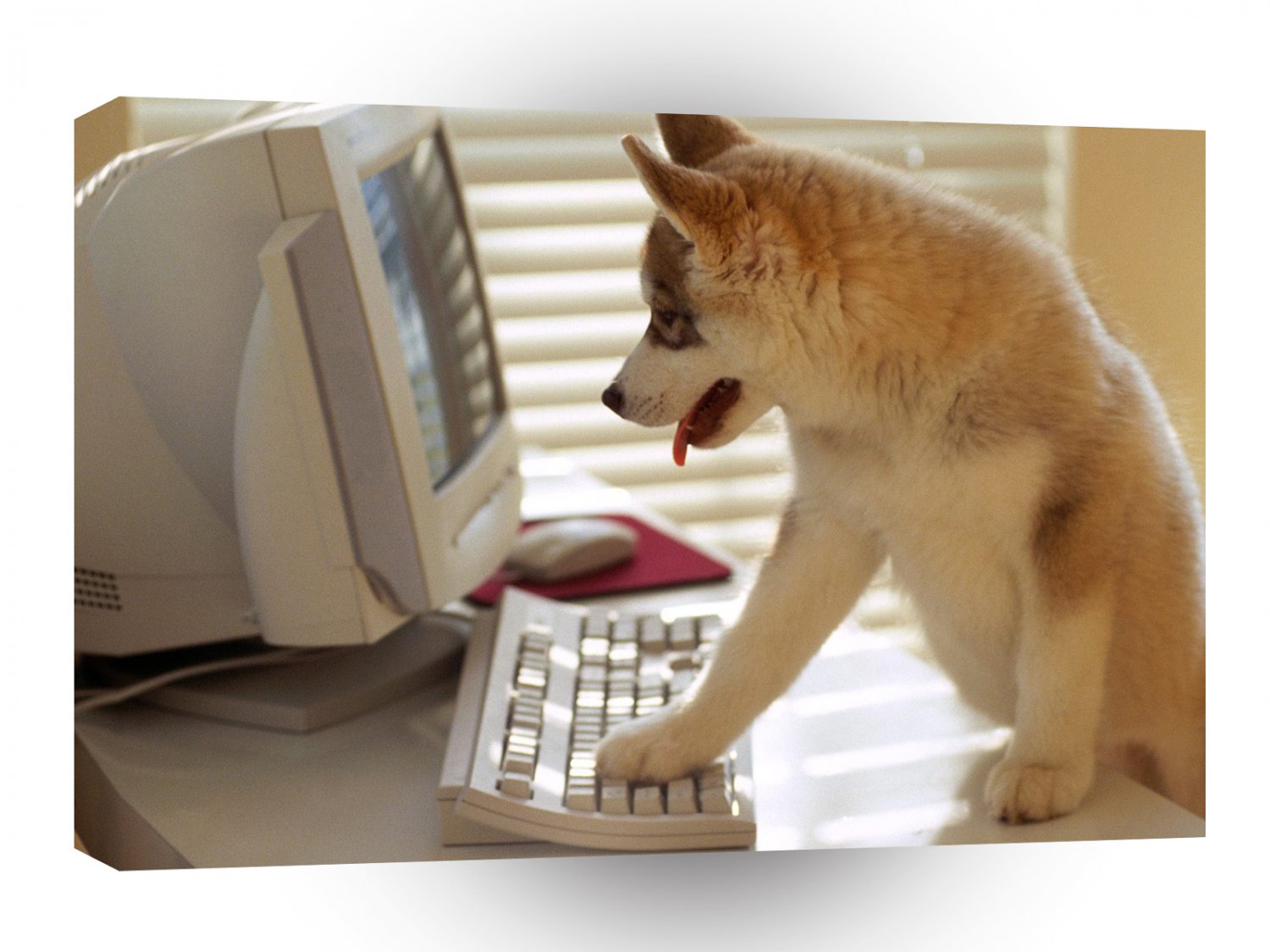 Dog User Friendly A1 Xlarge Canvas