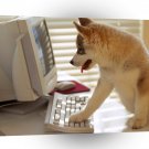 Dog User Friendly A1 Xlarge Canvas