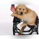 Dog Whens Recess A1 Xlarge Canvas