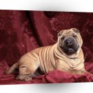 Dog Wrinkles Chinese A1 Xlarge Canvas