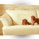 Dogs Few Good Fellows A1 Xlarge Canvas