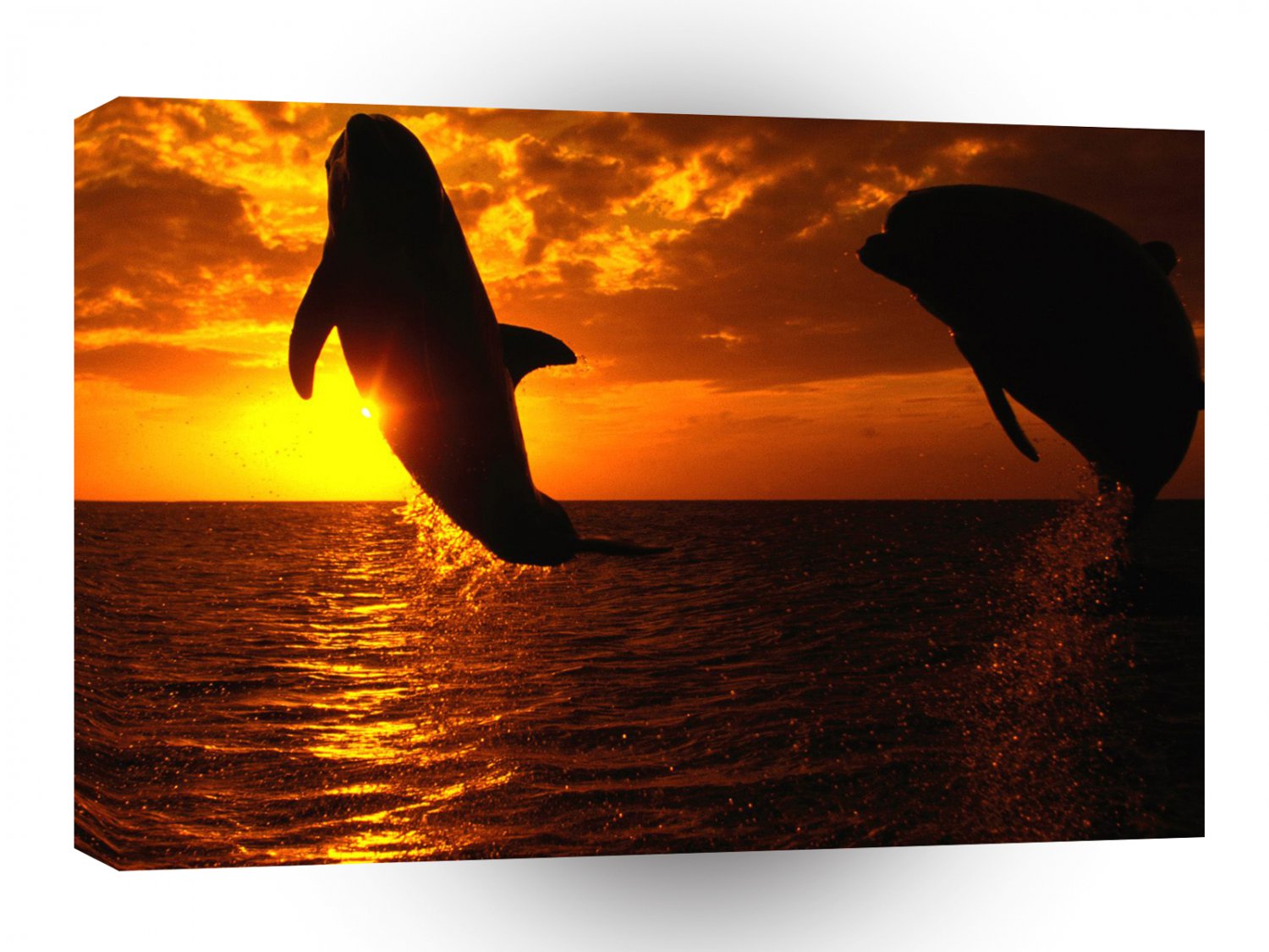 Dolphin Aquatic Symphony A1 Xlarge Canvas