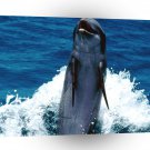 Dolphin Backward Swimming Feat A1 Xlarge Canvas