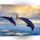Dolphin Bottlenose A1 Xlarge Canvas