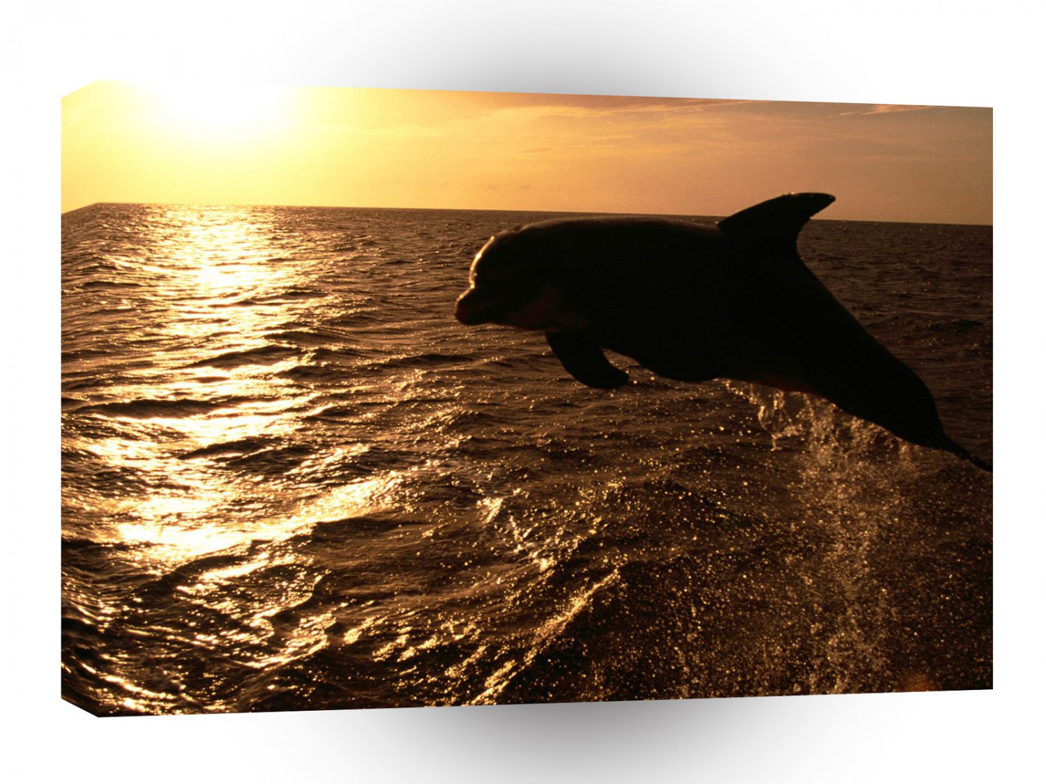 Dolphin Having Some Fun A1 Xlarge Canvas