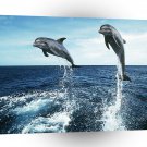 Dolphin Leap Of Faith A1 Xlarge Canvas