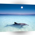 Dolphin Moonlit Ride A1 Xlarge Canvas