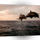 Dolphin Taking Flight Bottlenose A1 Xlarge Canvas