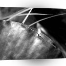 Dragonfly A Day On The Leaf A1 Xlarge Canvas
