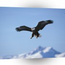 Eagle A Perfect Landing Bald Alaska A1 Xlarge Canvas