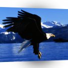 Eagle Easy Landing Alaska A1 Xlarge Canvas
