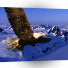 Eagle Everlasting Liberty A1 Xlarge Canvas