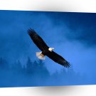 Eagle Flight Freedom Bald Alaska A1 Xlarge Canvas