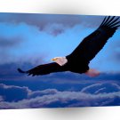 Eagle Freedoms Wings A1 Xlarge Canvas