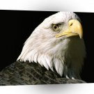 Eagle Nations Lookout Bald Alaska A1 Xlarge Canvas