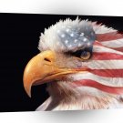 Eagle Usa A1 Xlarge Canvas
