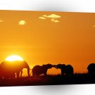 Elephant African Kenya Africa A1 Xlarge Canvas