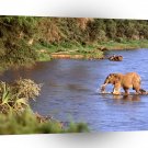 Elephant African The Crossing A1 Xlarge Canvas