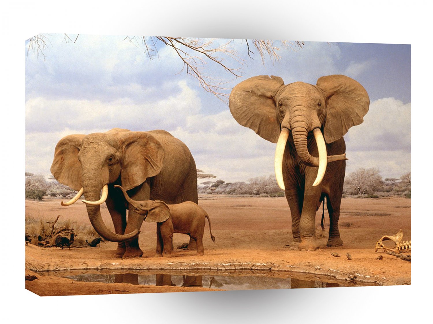 Elephant Are We There Yet A1 Xlarge Canvas