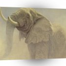Elephant Bluffing Bull A1 Xlarge Canvas