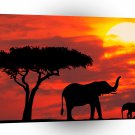 Elephant Silhouetted At Sunrise Kenya A1 Xlarge Canvas