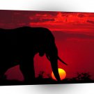 Elephant Sunrise A1 Xlarge Canvas