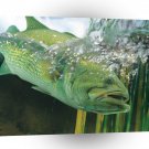 Fish Largemouth Bass Splashing Reeds A1 Xlarge Canvas