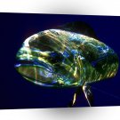 Fish Mahi Tough Hawaii A1 Xlarge Canvas