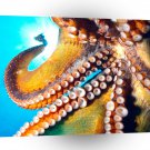 Fish Octopus Hawaii A1 Xlarge Canvas