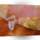 Fish Pink Anemonefish Lala Fiji A1 Xlarge Canvas