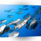 Fish Piranha Schole A1 Xlarge Canvas