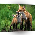 Foxs Good To Be Loved A1 Xlarge Canvas